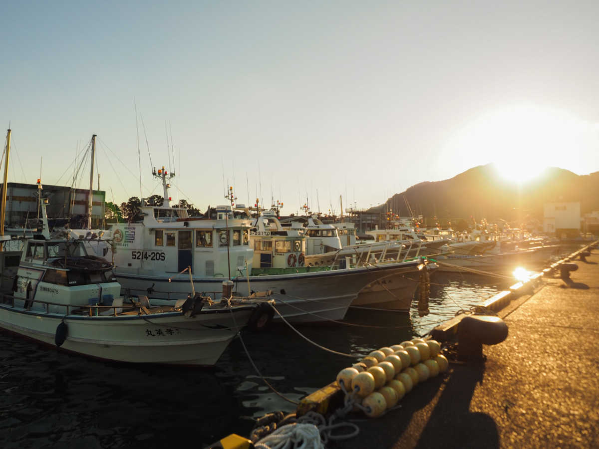 用宗漁港の口コミ 用宗しらすで有名。静岡県・用宗漁港に落ちる優しい夕日の遊歩道 TRIPROUD