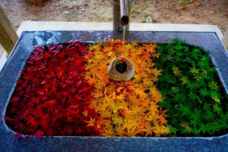 徳島県の手水舎が素敵な神社 寺ランキング Triproud