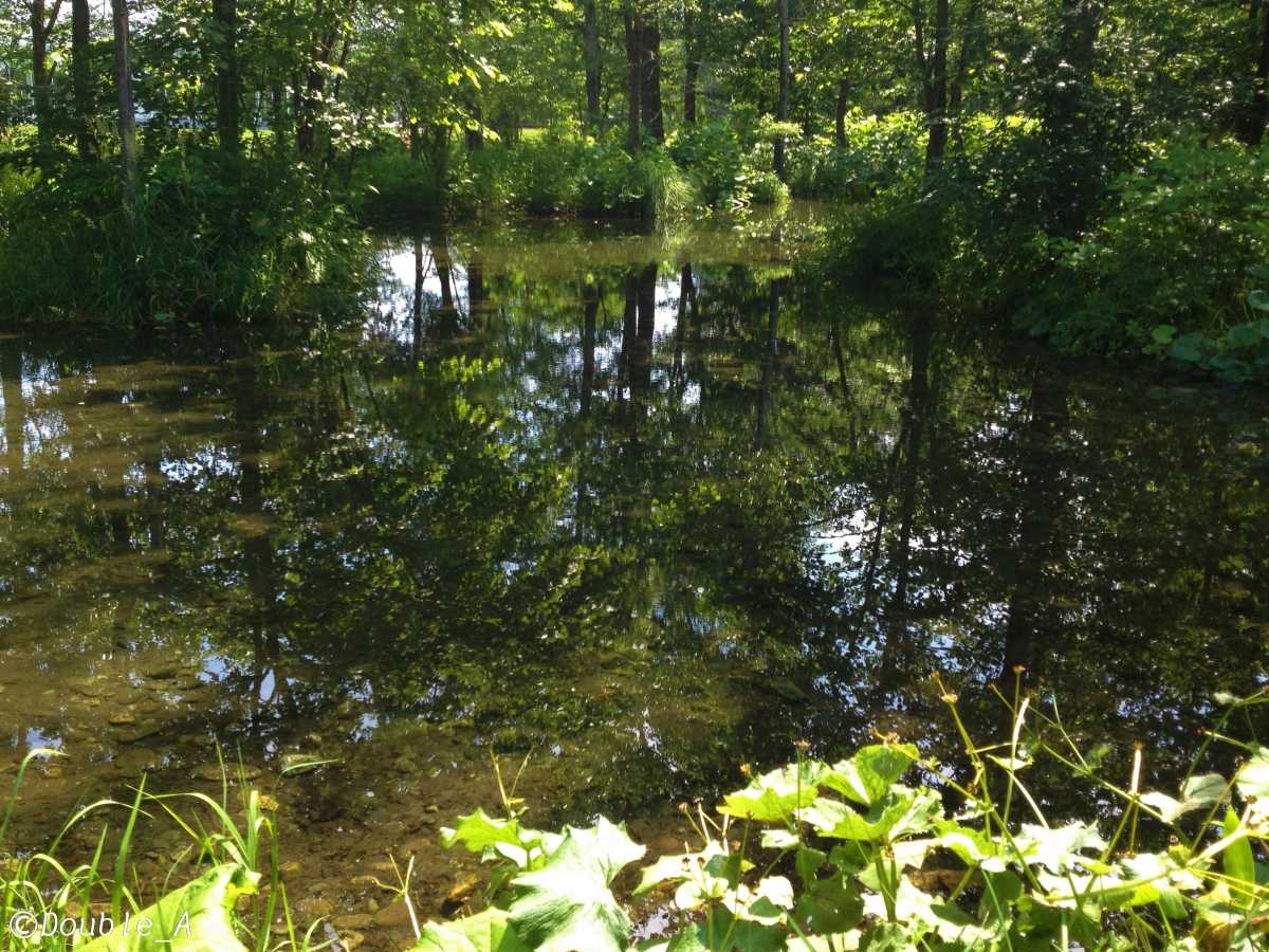 六花亭の包装紙を広げたみたい 六花の森 六花亭 六花の森 の口コミ Triproud