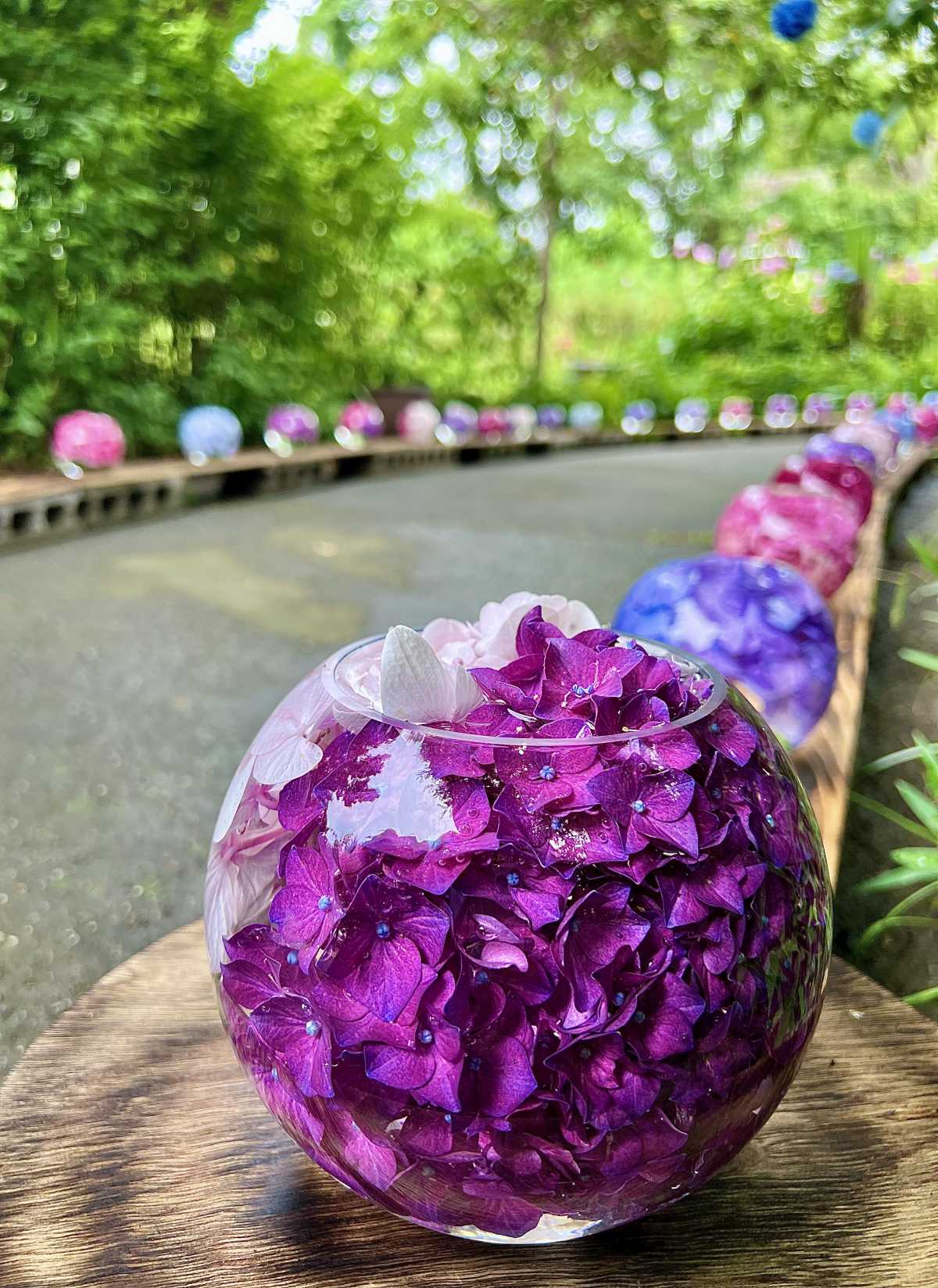 フォトジェニックなあじさいロード 輝くあじさいガラスボール 般若寺の口コミ Triproud