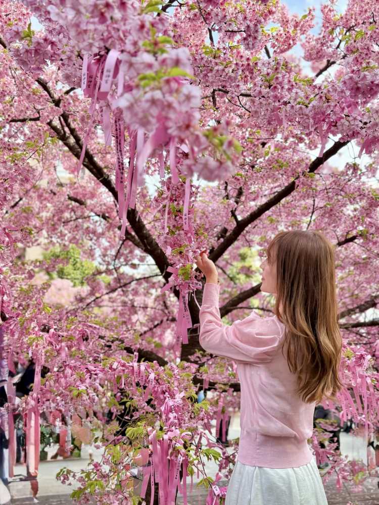 桜神宮の口コミ | 桜新町駅 - TRIPROUD