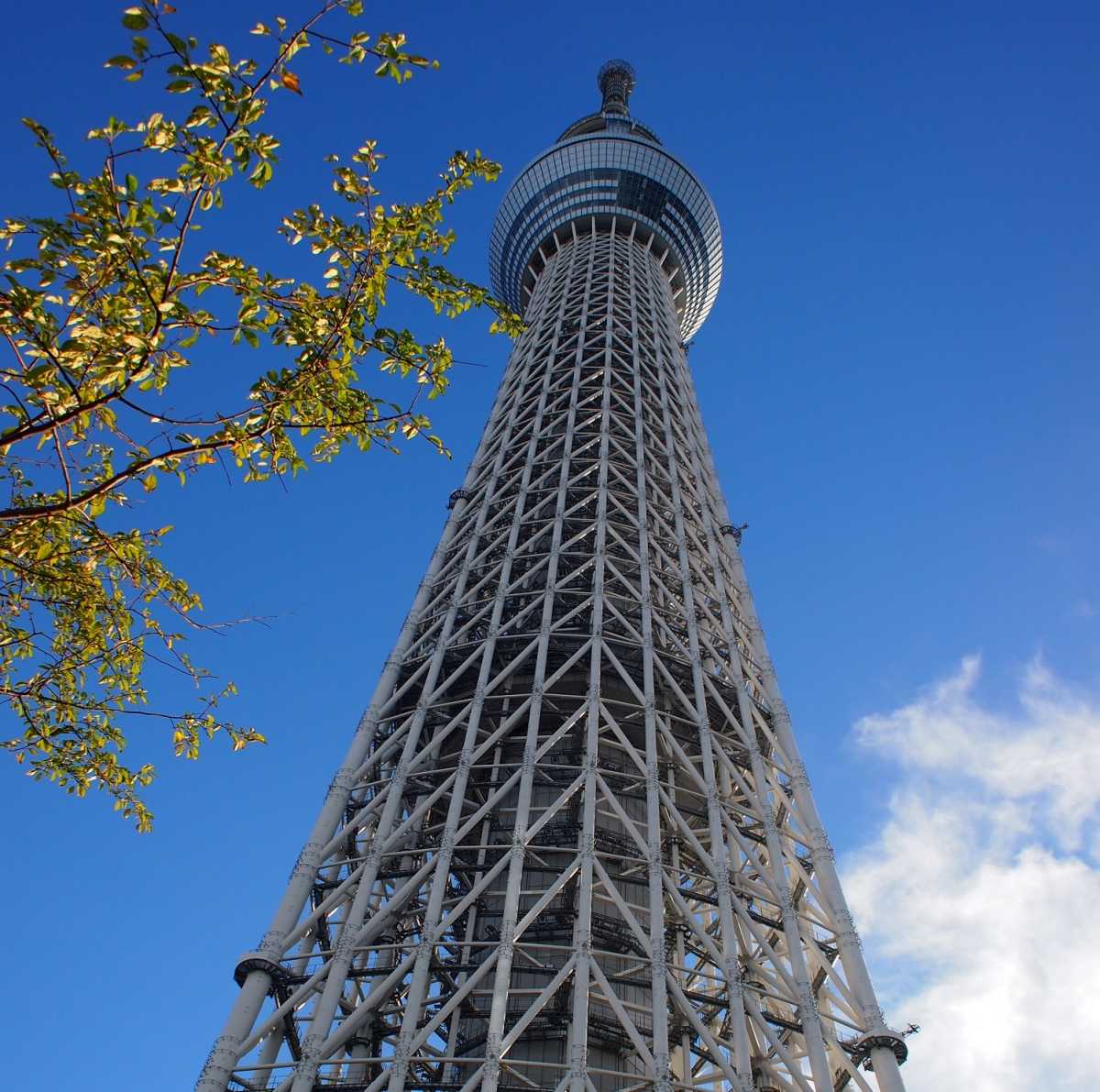 油絵　電波塔 針尾無線塔（旧佐世保無線電信所）-その（1） 約136mの
