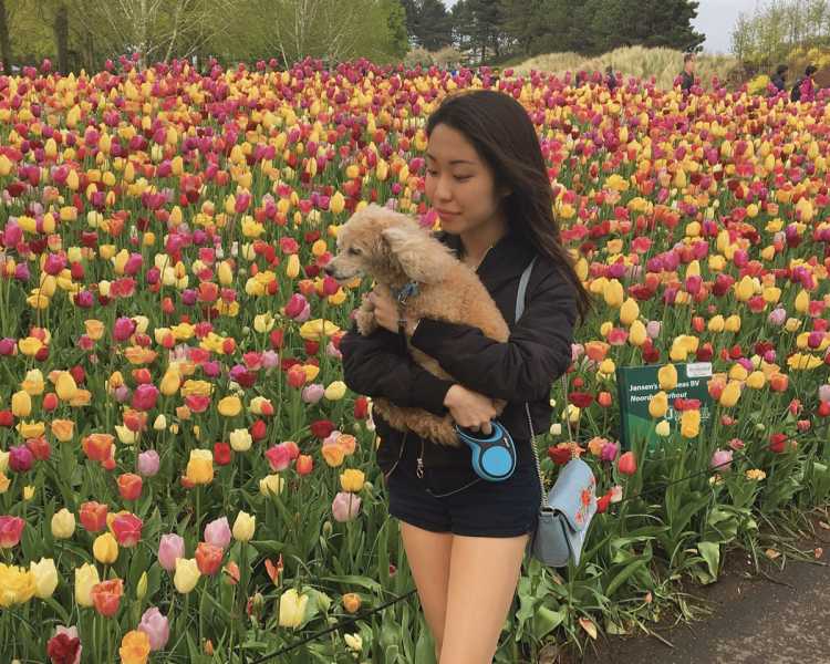 ヨーロッパのお花が美しいスポットランキング Triproud