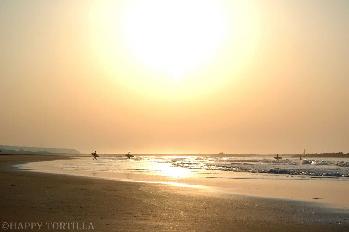 太平洋ロングビーチここは日本のカリフォルニア？陽光きらめくビーチ TRIPROUD