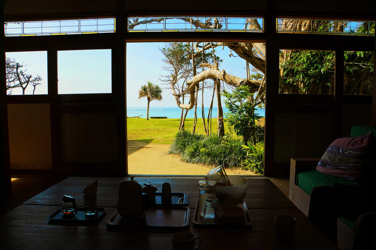 ガジュマルの大樹と蒼い海 まるで絵画のような風景が広がる空間 Paradise Innの口コミ Triproud
