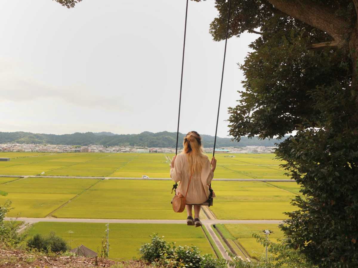 夢見心地の光る空中ブランコ