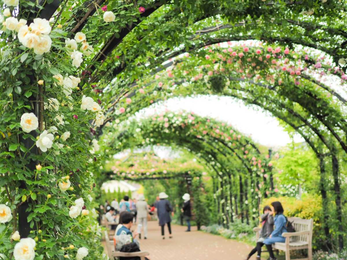 Come Into A Fairy Tale World A Garden With 1700 Kinds Of Roses Review Of Yokohama English Garden Triproud