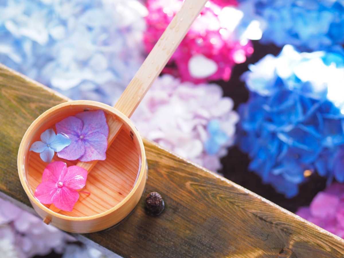 カラフルな紫陽花 御裳神社の口コミ Triproud