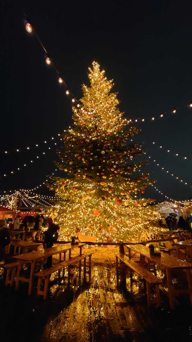 ヨーロッパの冬に訪れたいスポットランキング Triproud