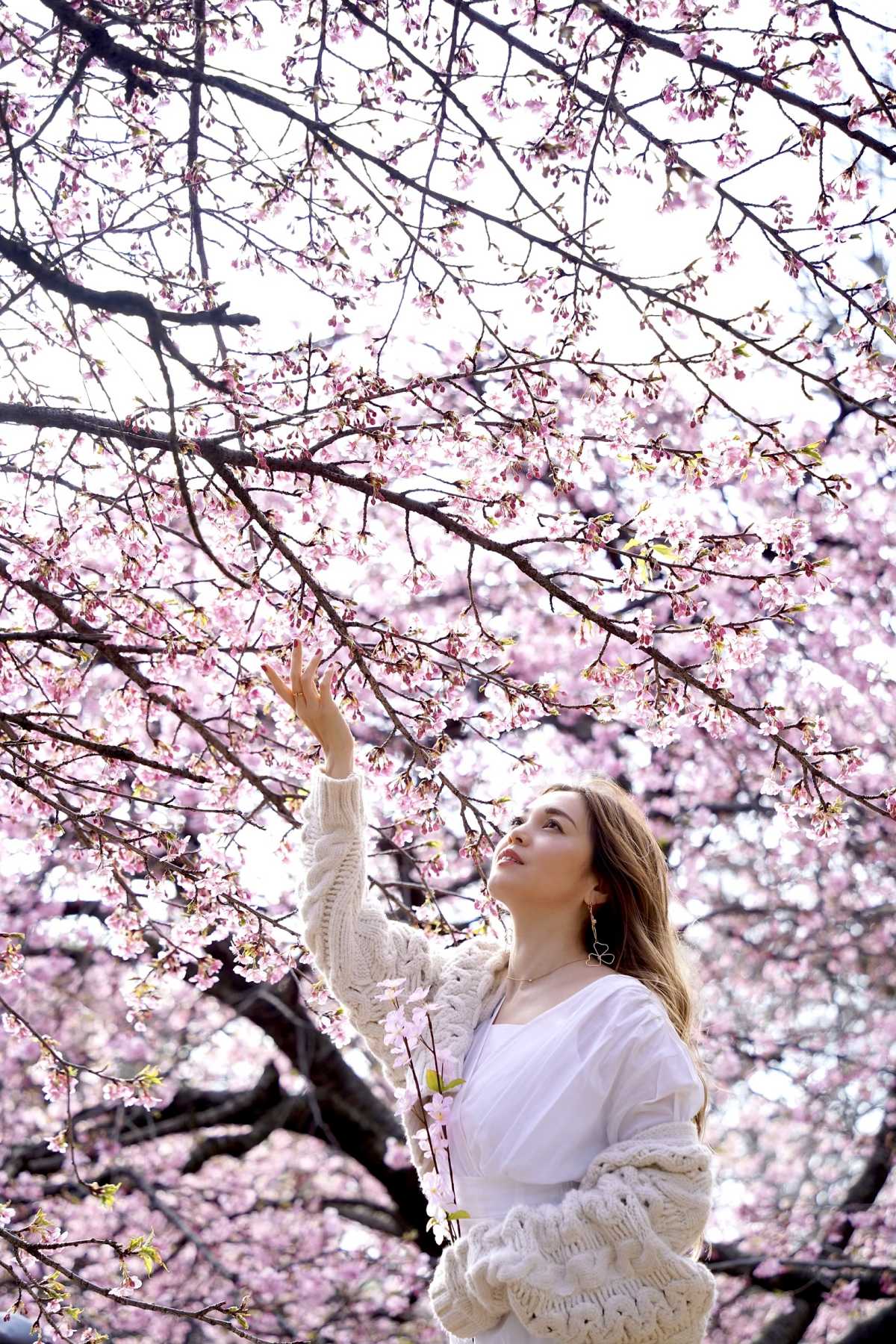 東京で河津桜がみれる公園 代々木公園の口コミ Triproud