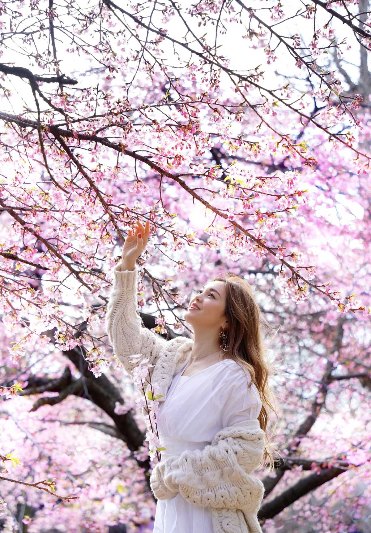 東京で河津桜がみれる公園 代々木公園の口コミ Triproud