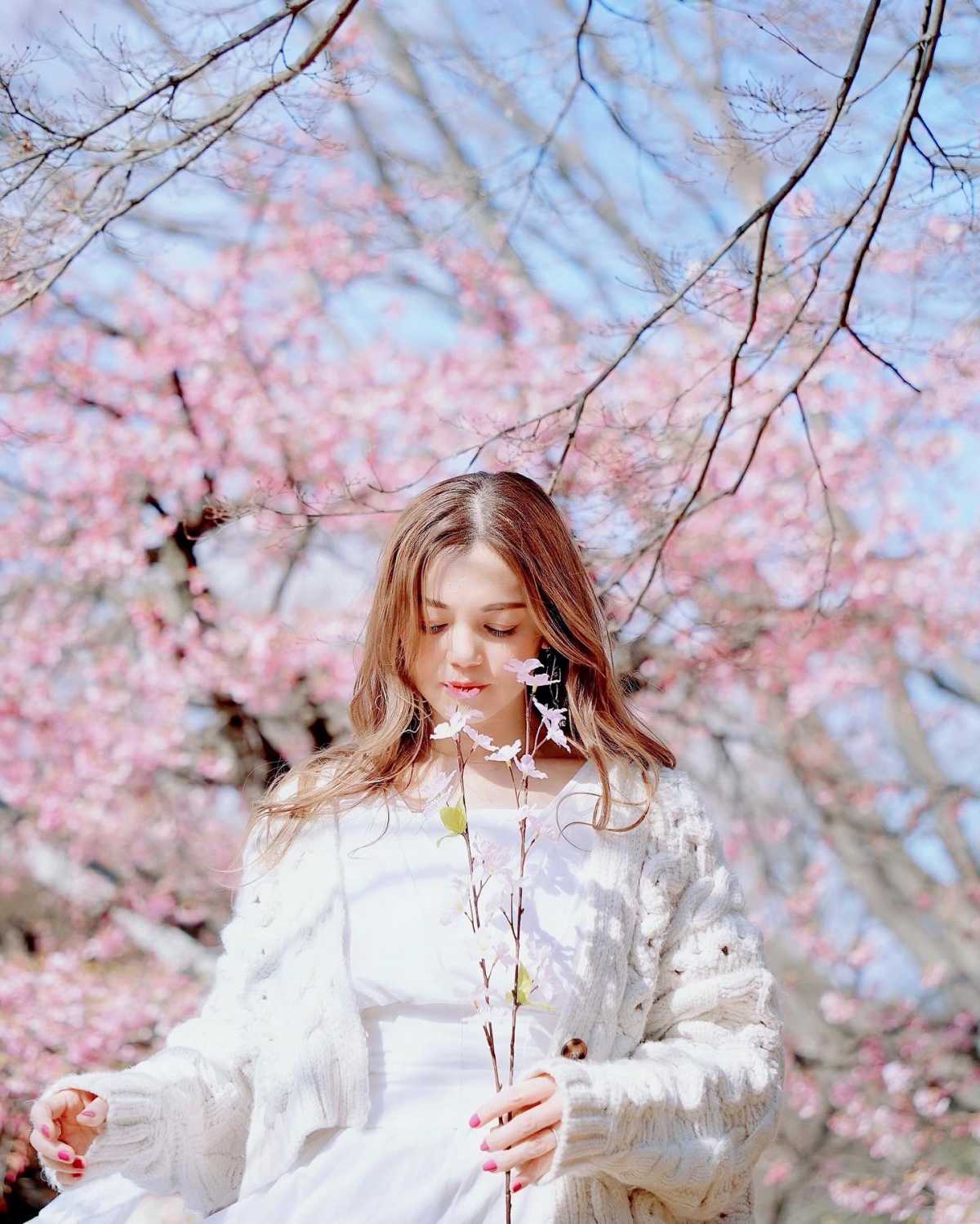 今が見頃 早咲きの桜が満開 代々木公園の口コミ Triproud