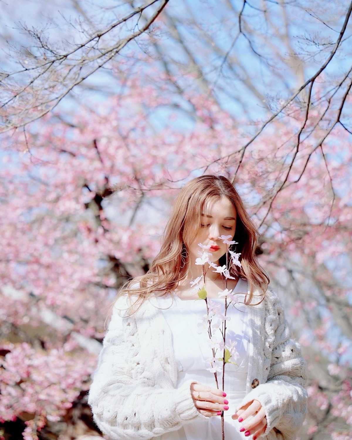 今が見頃 早咲きの桜が満開 代々木公園の口コミ Triproud