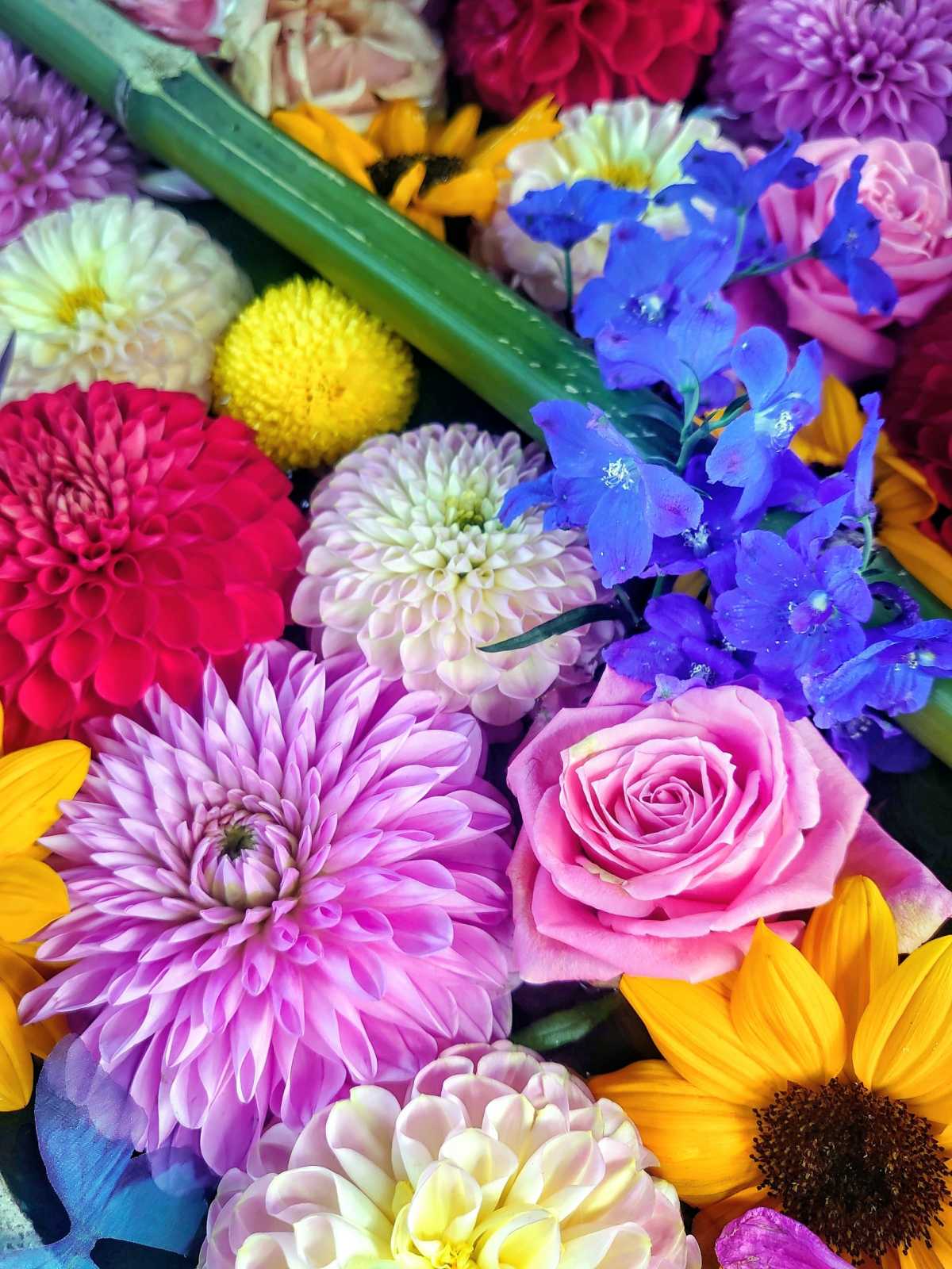 蜷川実花さんをイメージした花手水 絢爛 楊谷寺 柳谷観音 の口コミ Triproud