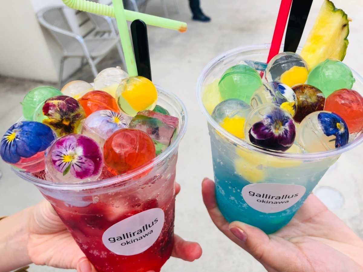 可愛いすぎると大人気 食べられるお花のジュース Gallirallusの口コミ Triproud