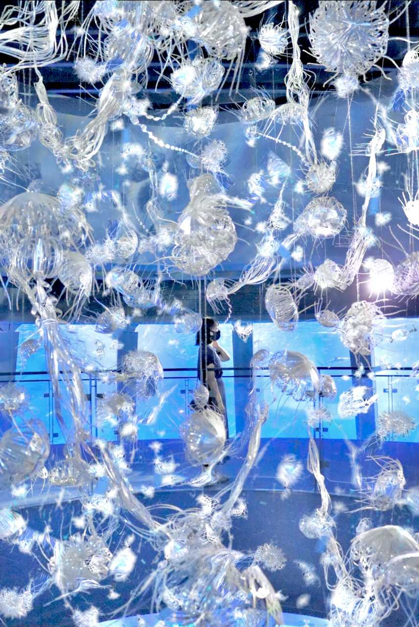 雨の日でも暑い夏の日でも楽しめるスポット 八景島シーパラダイスの口コミ Triproud