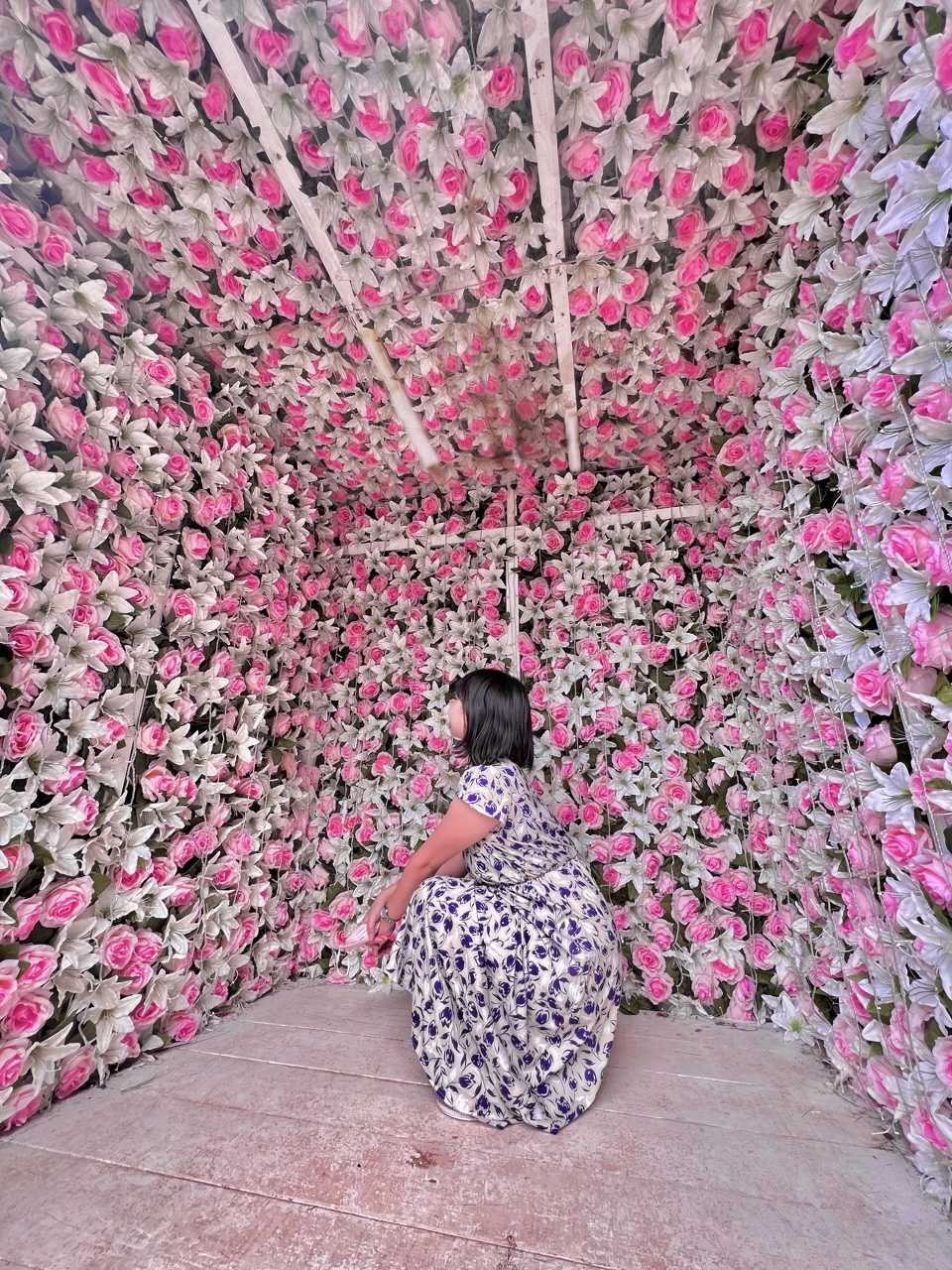 100万輪のブーゲンビレアが見頃です 東南植物楽園の口コミ Triproud