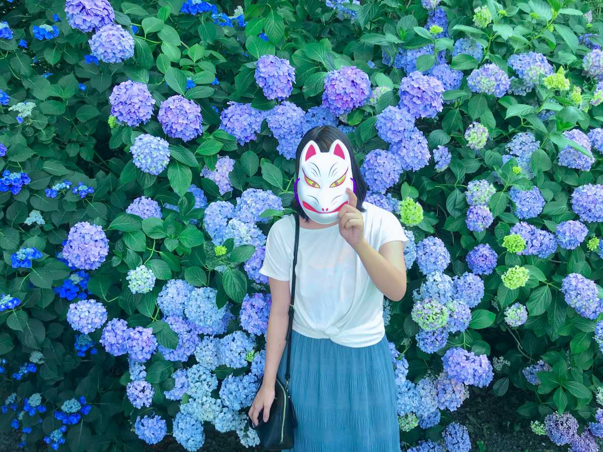 都内で見れる 色鮮やかなあじさい 高幡不動尊金剛寺の口コミ Triproud