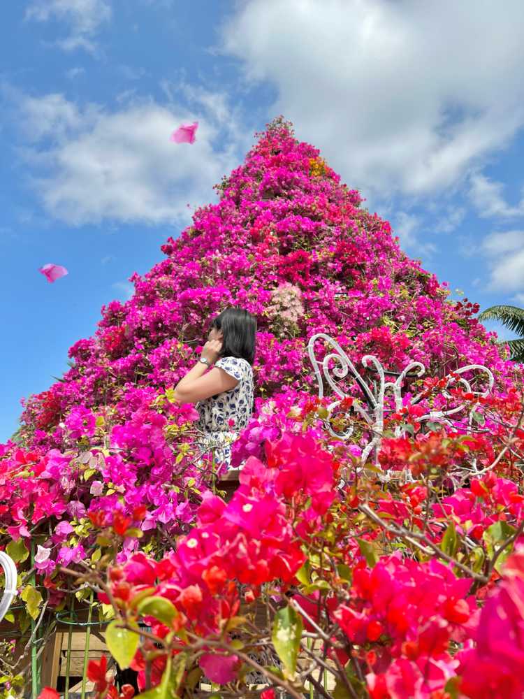 知花のインスタ映えスポットランキング Triproud