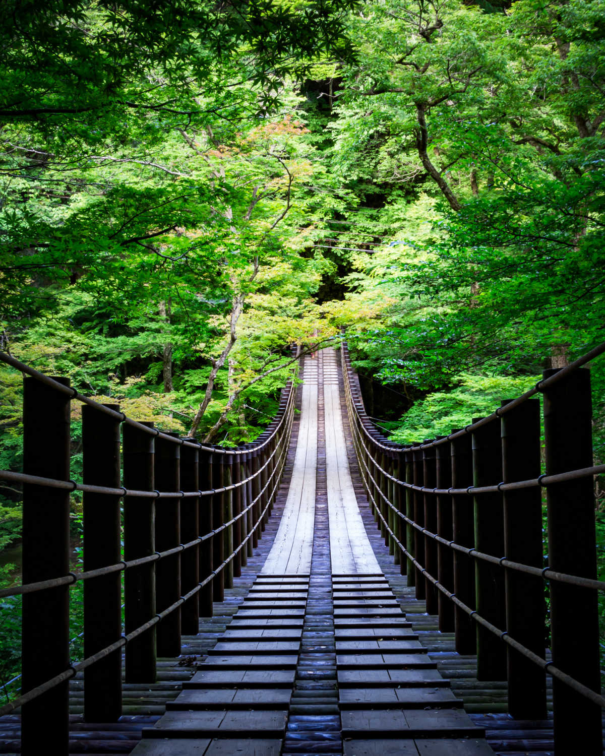 秋の紅葉に劣らない新緑 花貫渓谷の口コミ Triproud