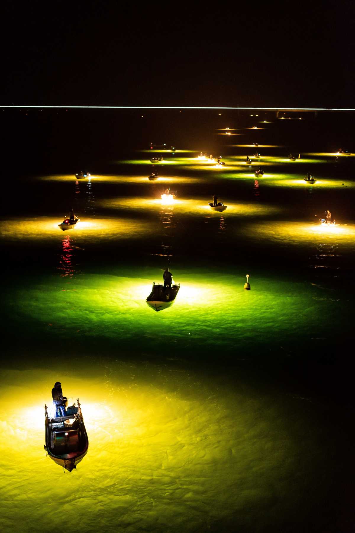 吉野川に見える数々の照明 吉野川のシラスウナギ漁の口コミ Triproud