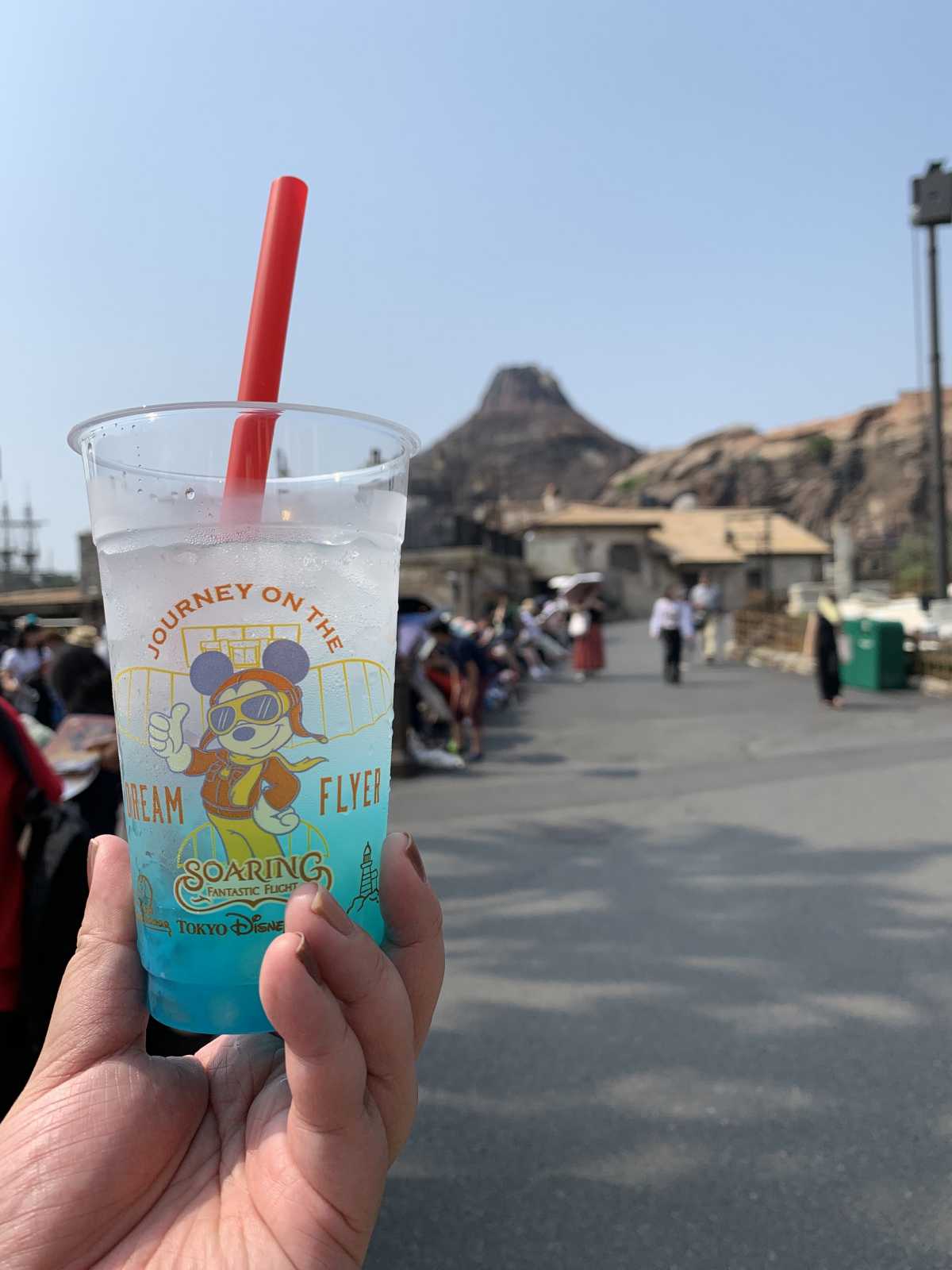 夢が叶う場所 東京ディズニーシーの口コミ Triproud