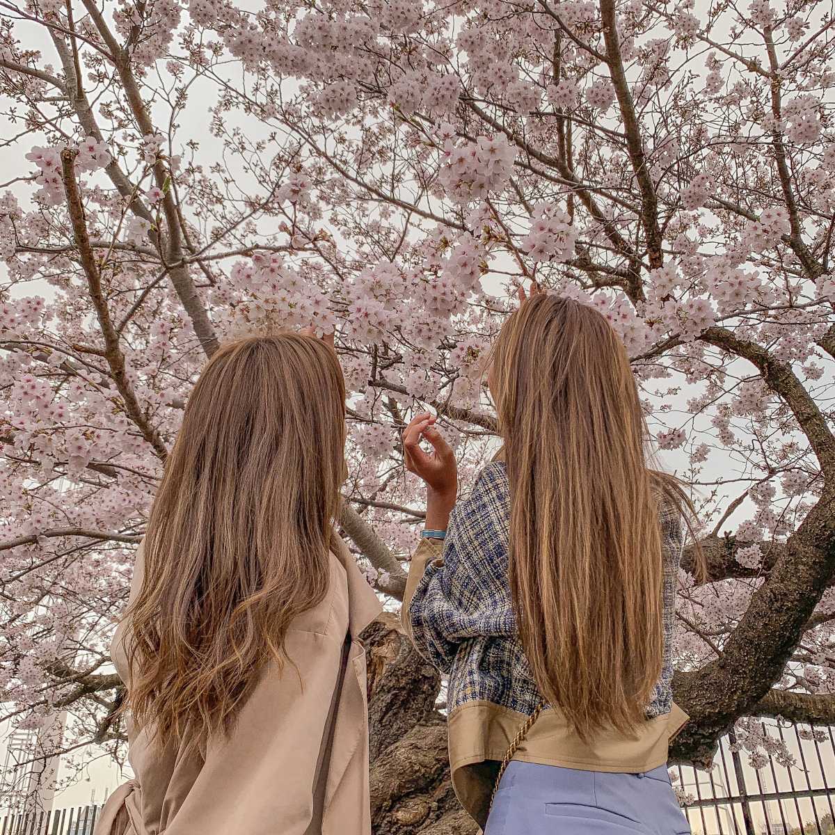 インスタ映えするshot 代々木公園の口コミ Triproud