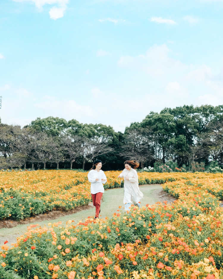 なばなの里の口コミ | 長島 - TRIPROUD