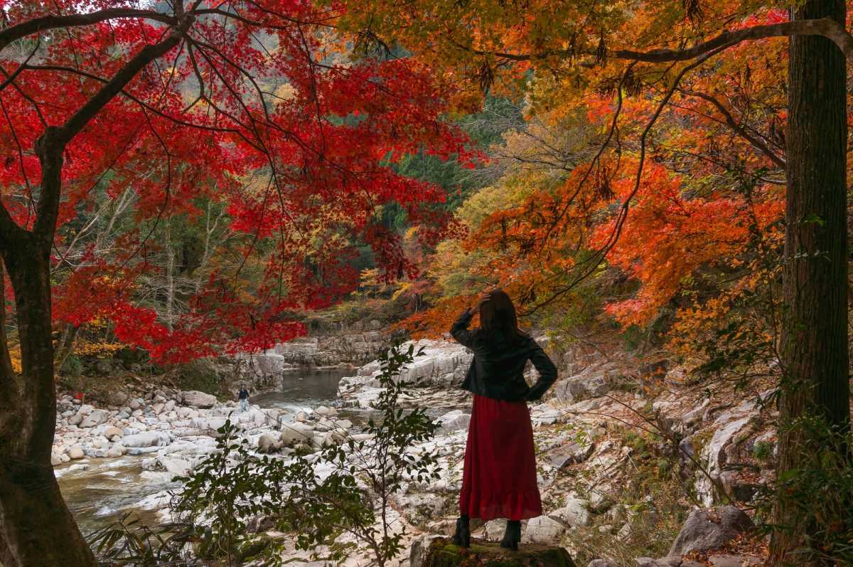 フォトジェニックな光景にも出会える 岡山随一の紅葉スポット 奥津渓の口コミ Triproud