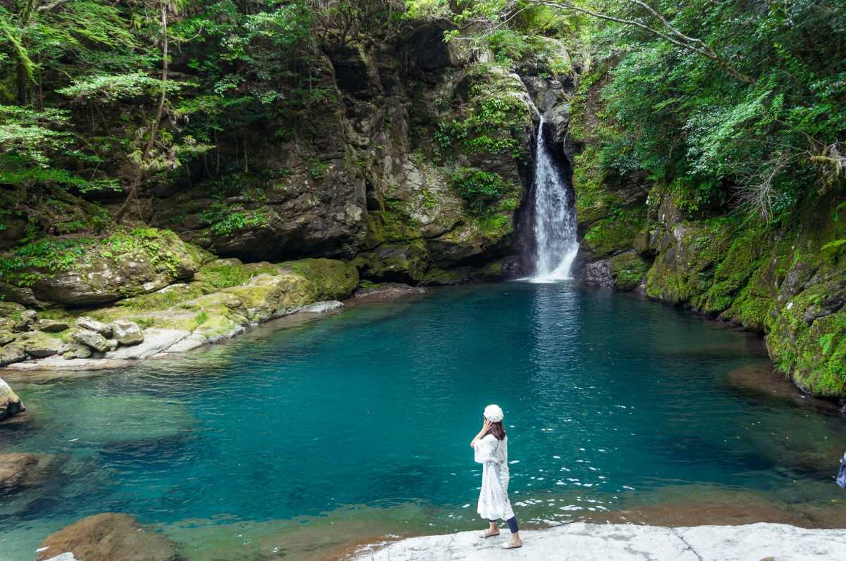 日本一綺麗な仁淀川の支流にある エメラルド色の神秘の滝壺 にこ淵の口コミ Triproud