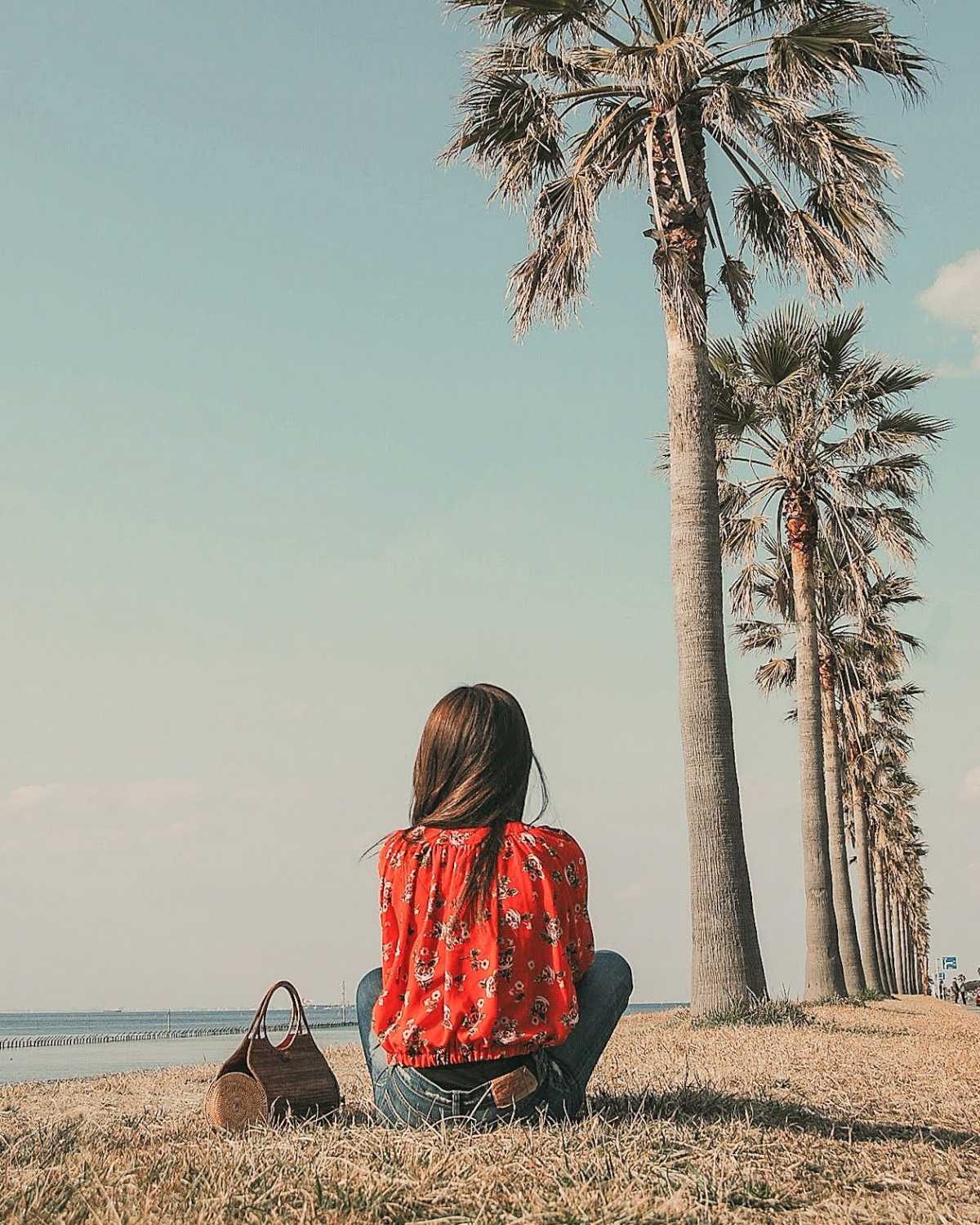 まるでカリフォルニアのような一本道 千葉フォルニアの口コミ Triproud