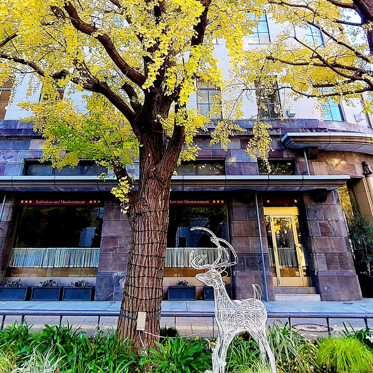 黄色い世界のクリスマス 日本大通りの街並みの口コミ Triproud