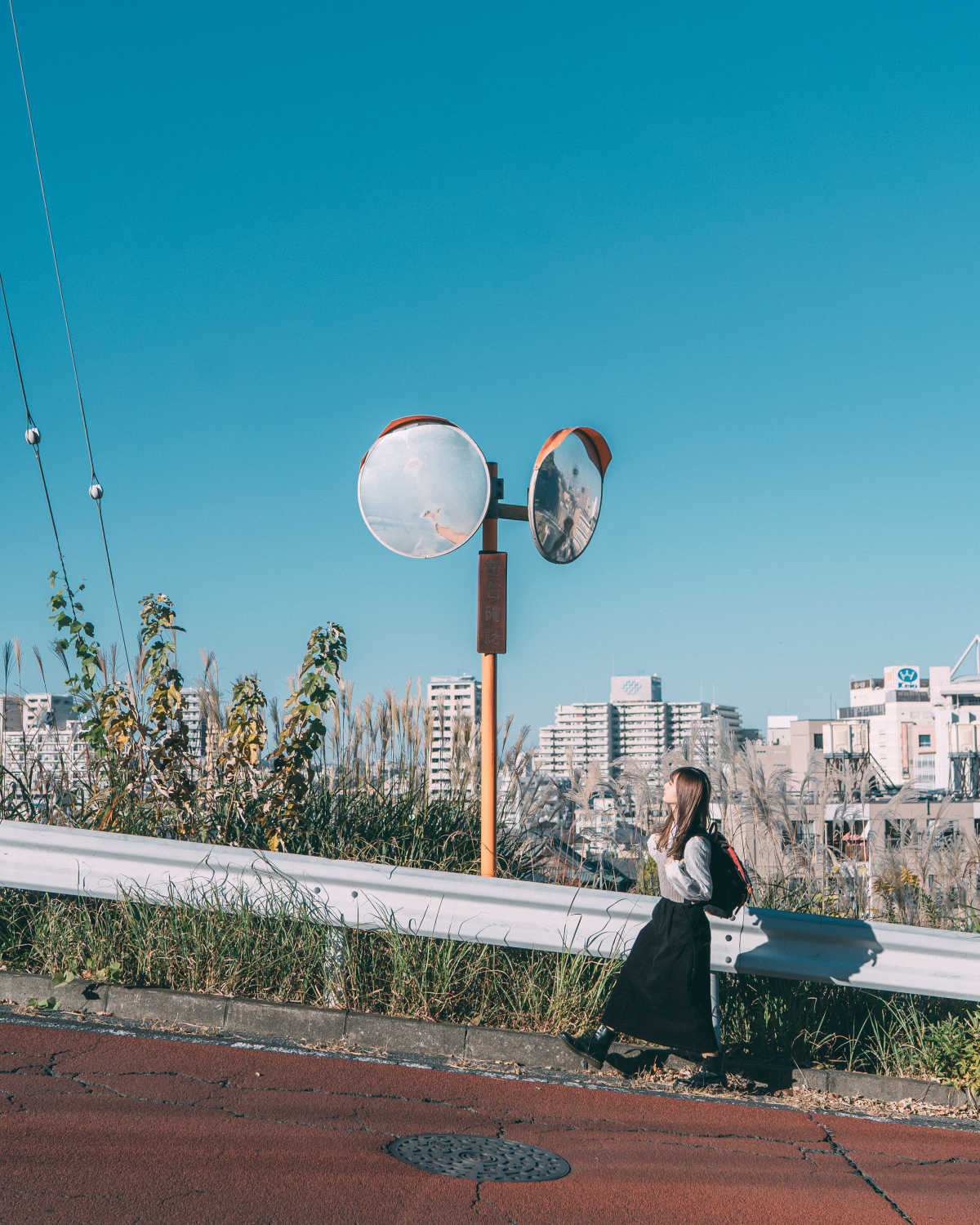 金比羅宮 (聖蹟桜ヶ丘) - 耳をすませば 聖地 - Cafe de Shrimp【耳を