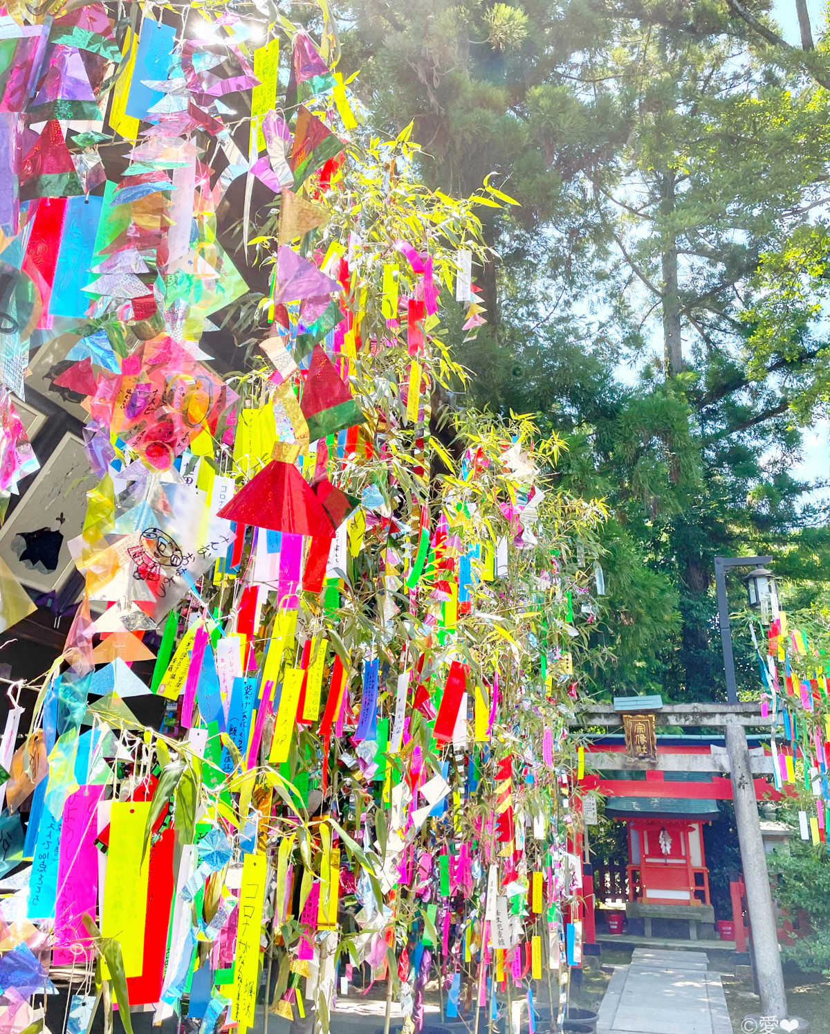 学問の神様として有名な 北野天満宮 の飛梅の天日干しが真っ盛りです 北野天満宮の口コミ Triproud