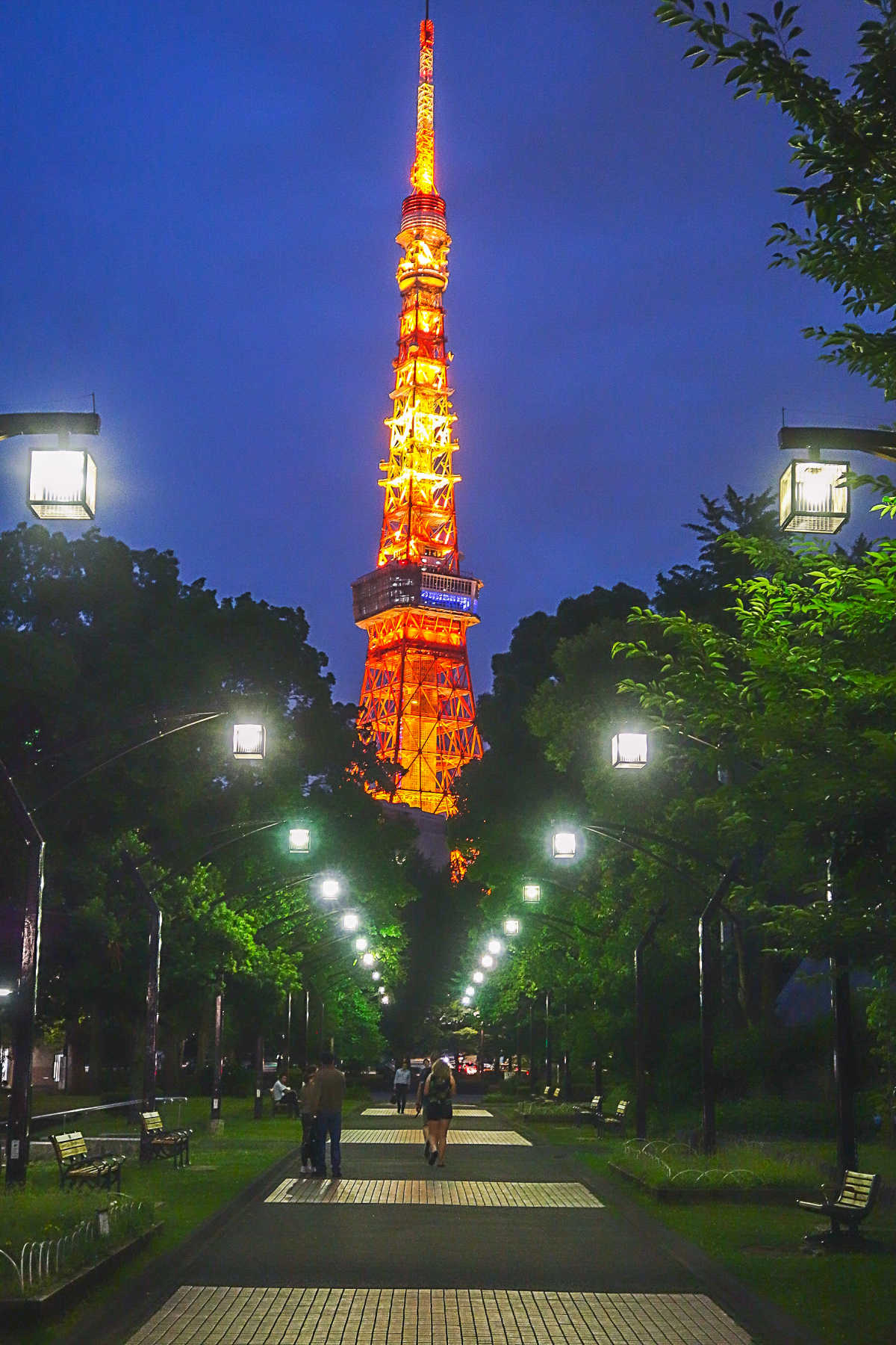 日本のシンボル 東京タワーを一直線に望むフォトスポット 芝公園の口コミ Triproud