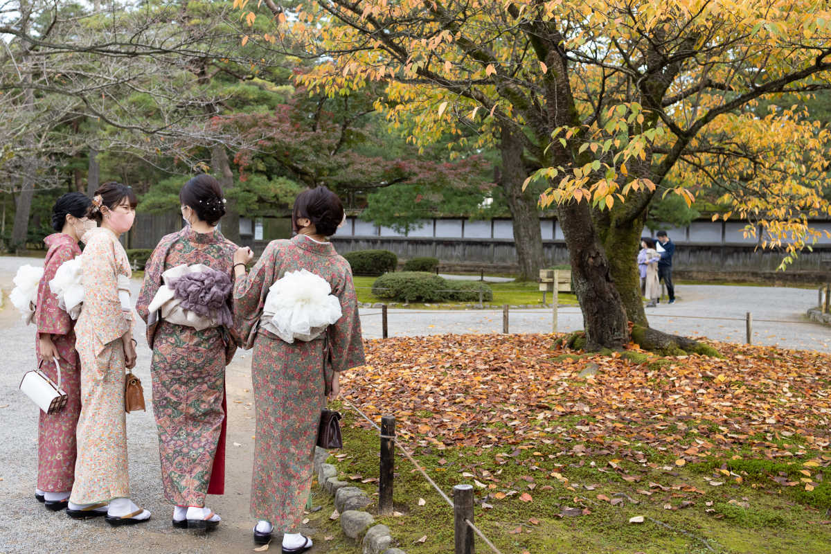 と雪吊りの共演が始まりました ᐟ ᐟ 兼六園の口コミ Triproud