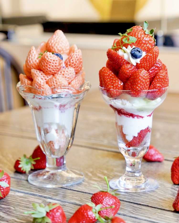 日本のカフェランキング Triproud 日本のカフェランキング Triproud