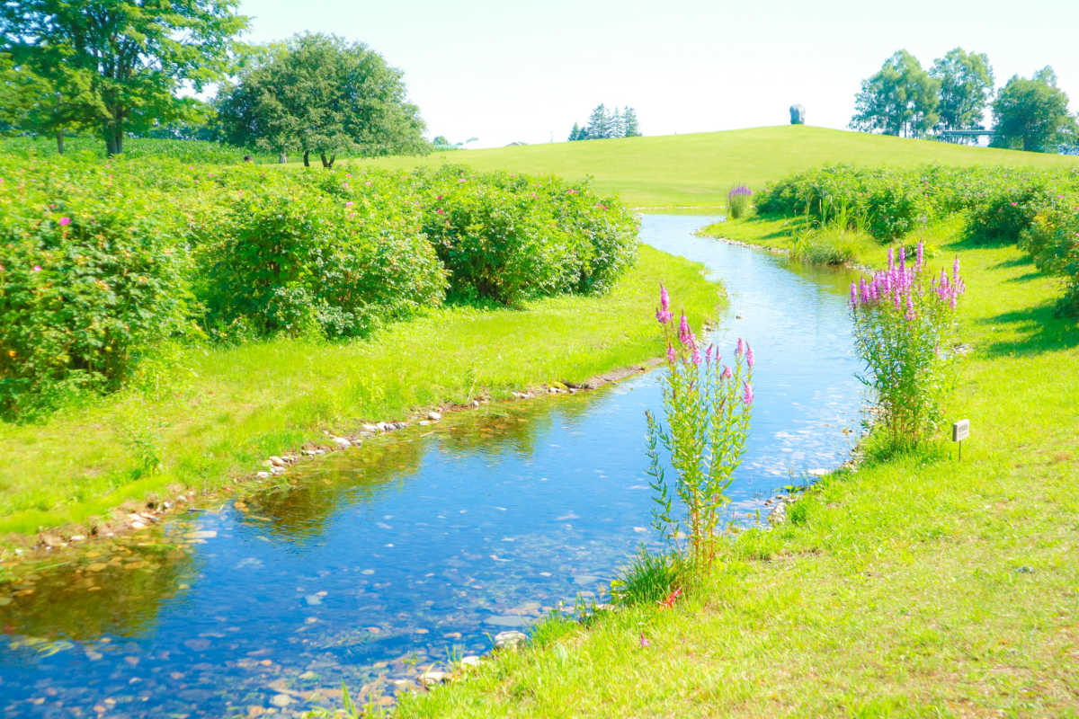 フォトジェニックな花柄包装紙館 六花亭 六花の森 の口コミ Triproud