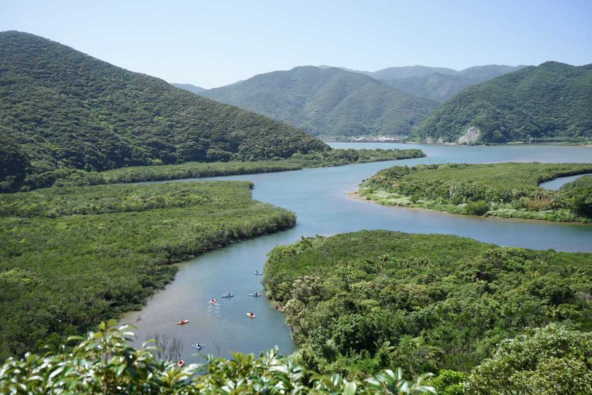 黒潮の森マングローブパークの口コミ マングローブを見下ろす展望台 TRIPROUD