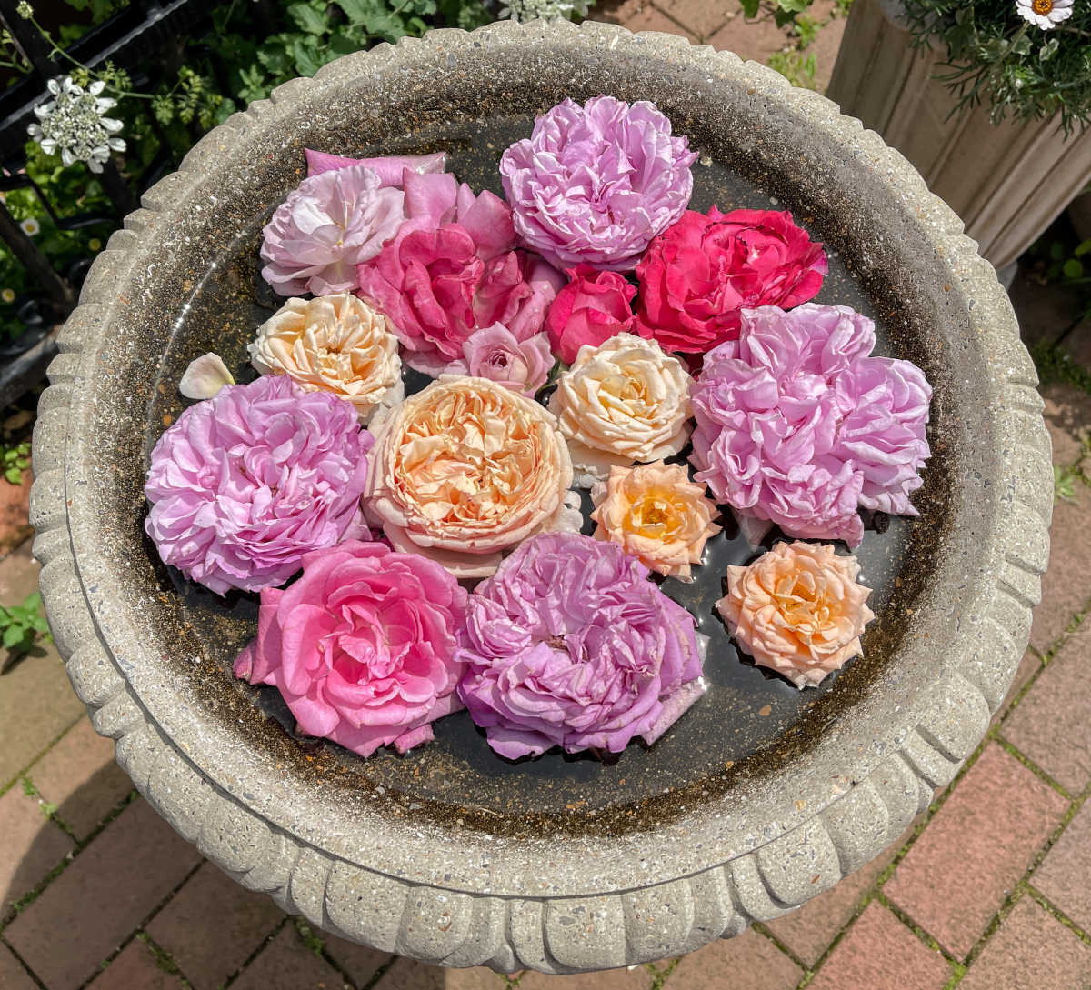 期間限定 約1800品種のバラが咲き誇る ローズ フェスティバル21 横浜イングリッシュガーデンの口コミ Triproud