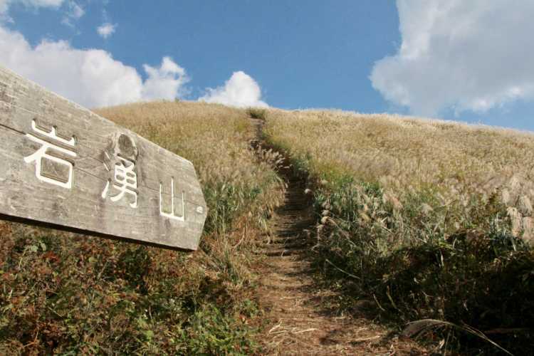 風に揺れるススキの広大な草原 岩湧山の口コミ Triproud