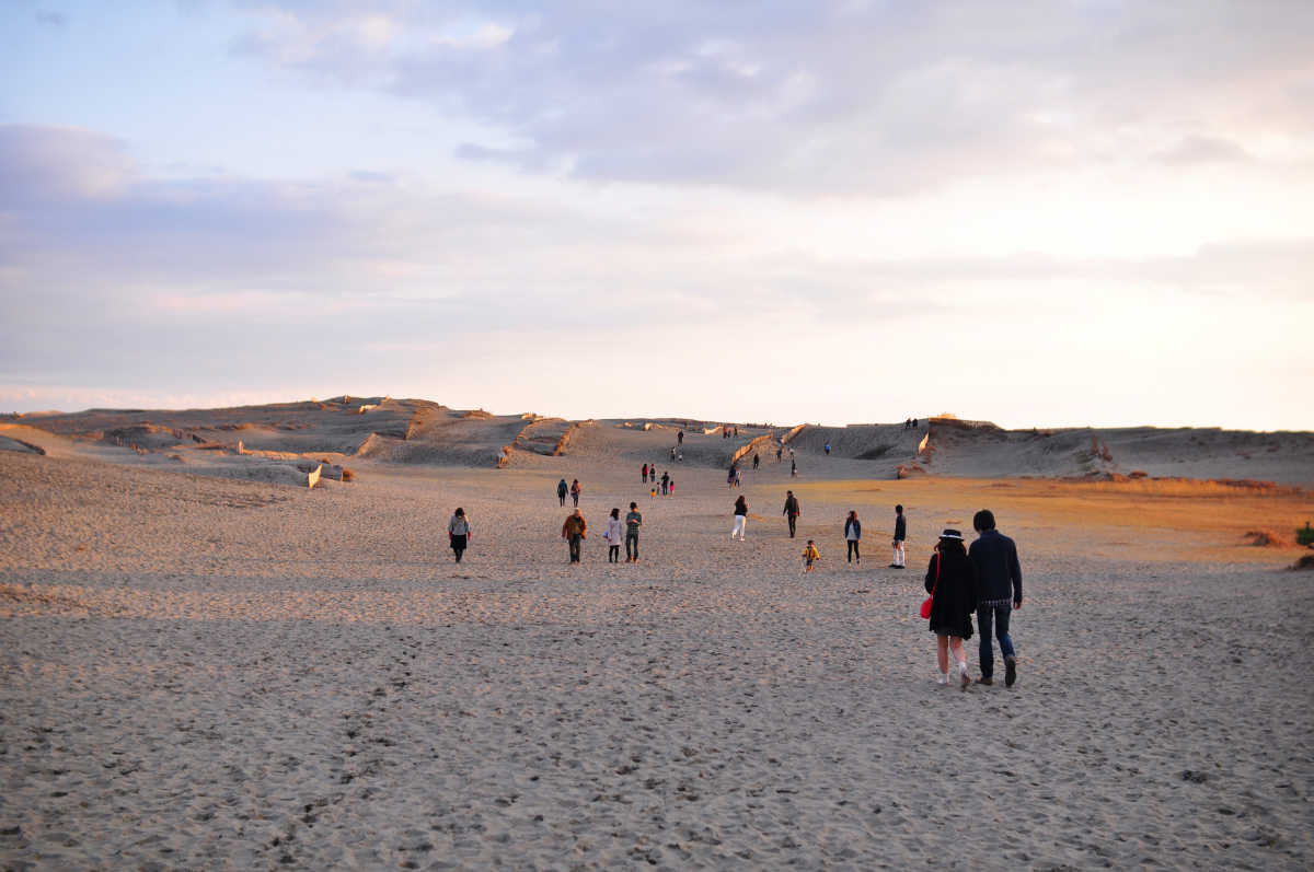 風によって作られる神秘的な風紋と地平線に沈むオレンジ色の夕日 中田島砂丘の口コミ Triproud