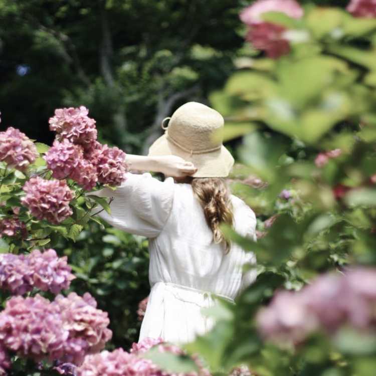 穴場 来年も行きたい紫陽花スポット 秋葉公園の口コミ Triproud
