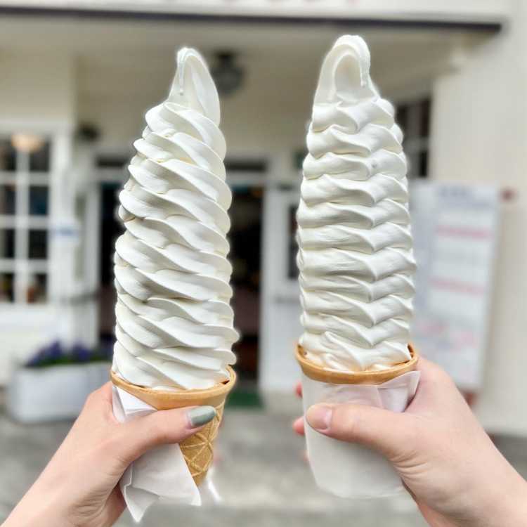 北海道 東北地方のジャンボソフトクリームランキング Triproud