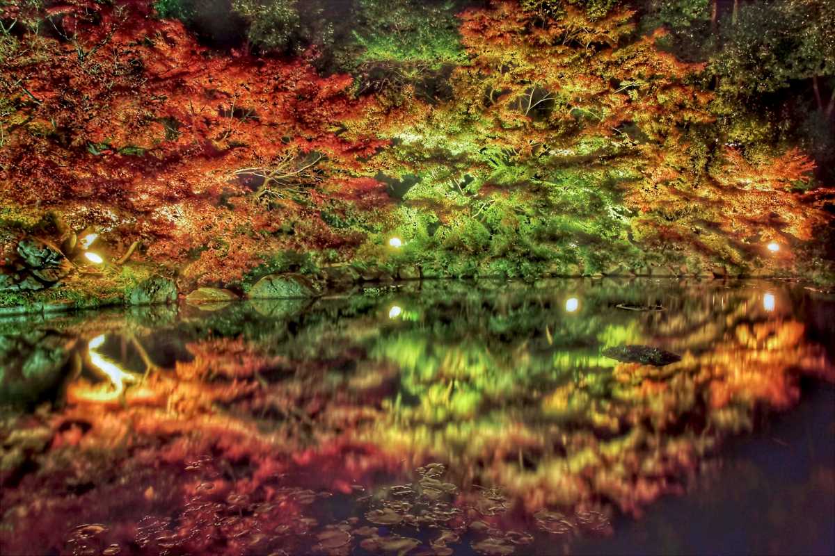 紅葉リフレクションが美しい秋の夜の日本庭園 徳川園の口コミ Triproud