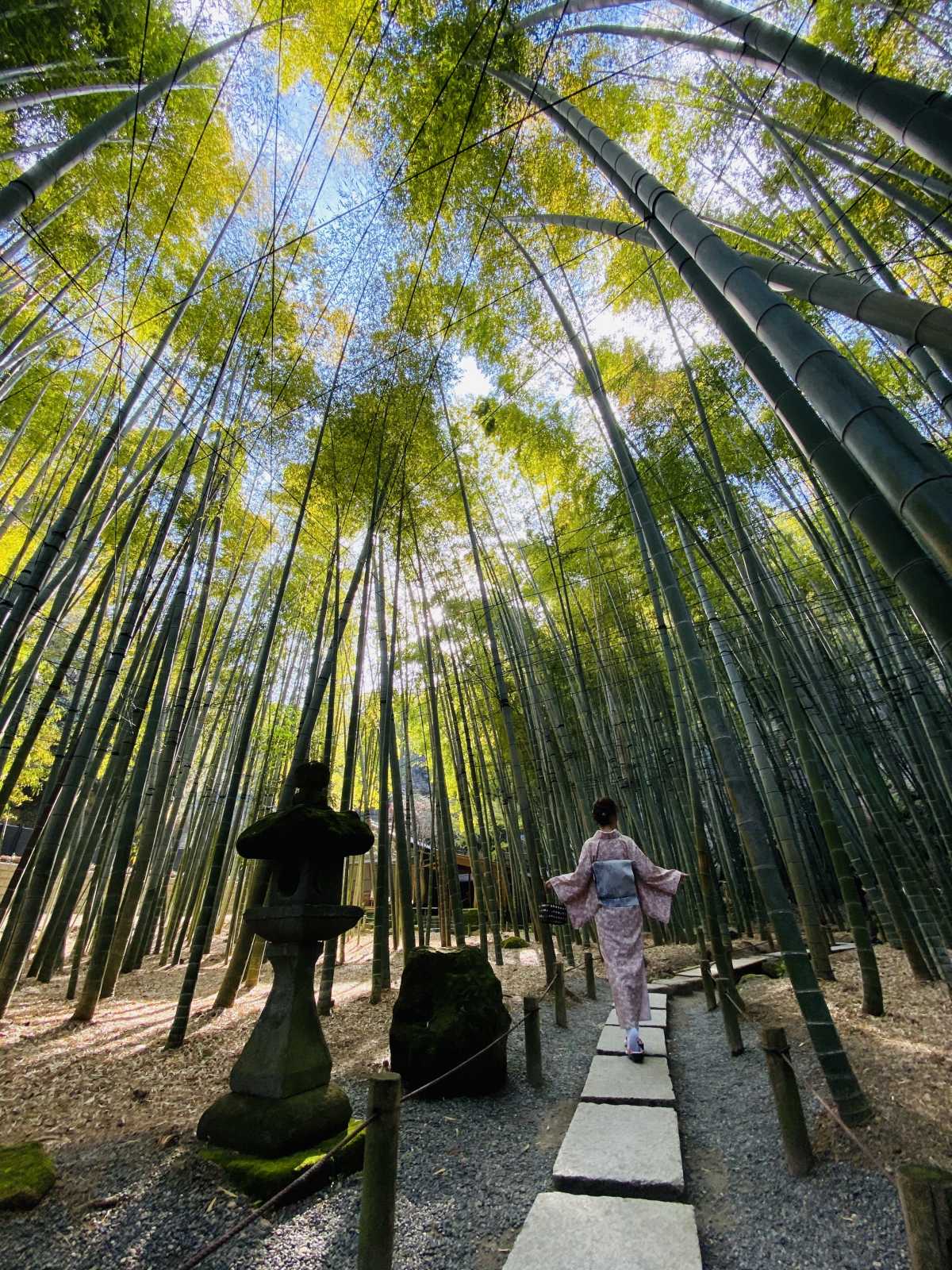 美しい竹林を歩けるお寺 報国寺の口コミ Triproud