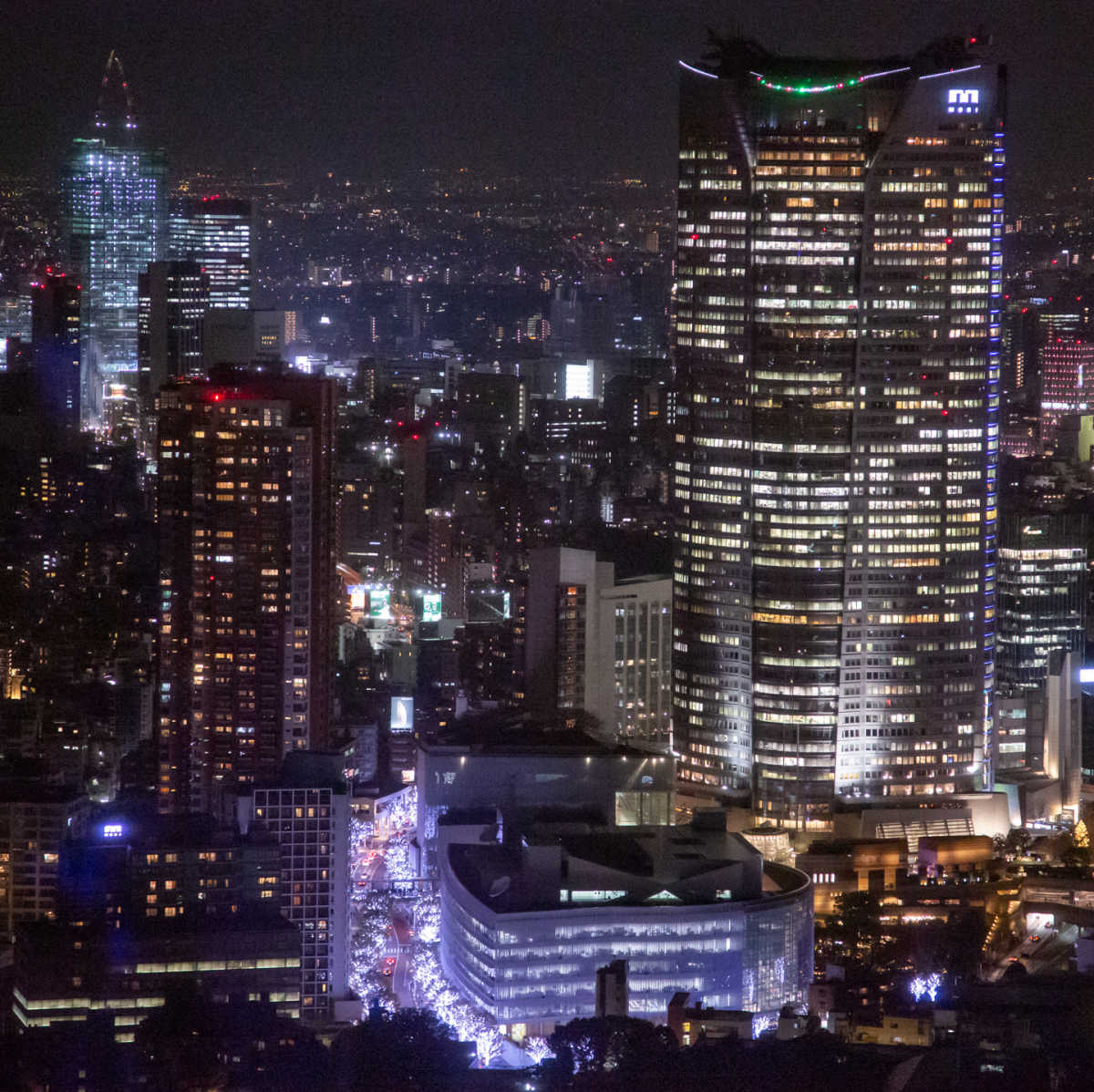 古くて新しい 進化したトップデッキから楽しめる東京の夜景 東京タワーの口コミ Triproud 古くて新しい 進化したトップデッキから楽しめる東京の夜景 東京タワーの口コミ Triproud