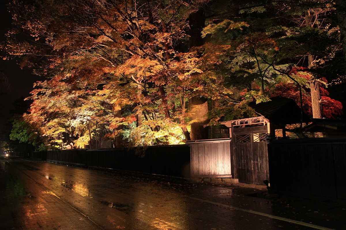 しだれ桜の名所は秋も名所 壁からあふれる角館武家屋敷の紅葉 武家屋敷の口コミ Triproud