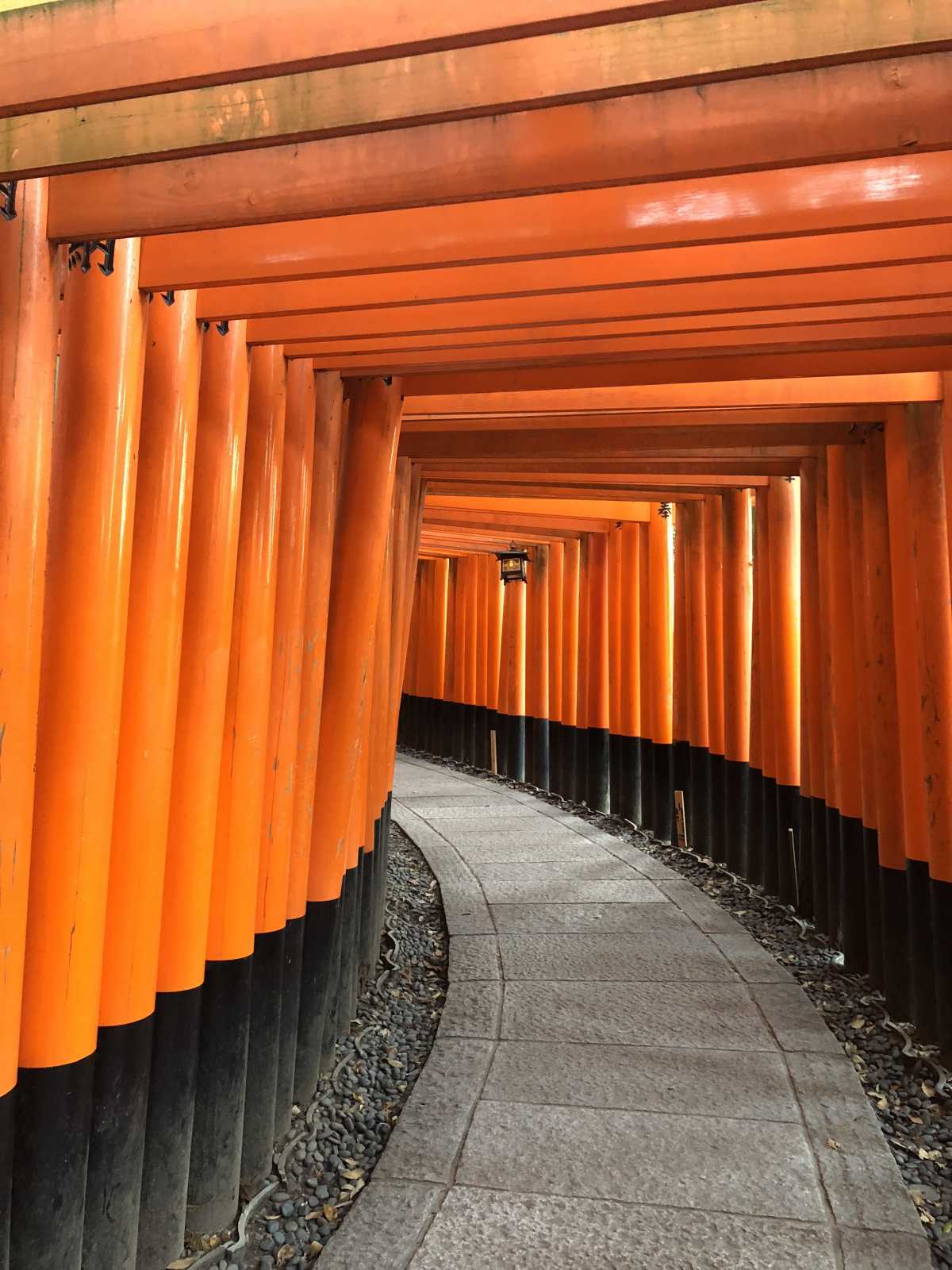 狐煎餅と千本鳥居 伏見稲荷大社の口コミ Triproud