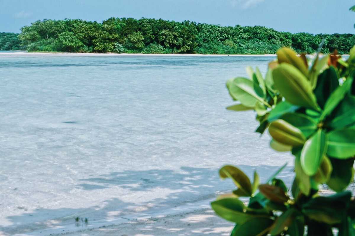 名前がないビーチだけど 石垣島のなかでもトップの透明度 川平湾の口コミ Triproud